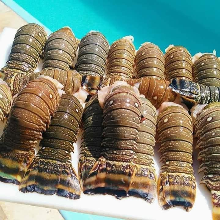 Pousada A Vida E Bela Águas Belas Εξωτερικό φωτογραφία